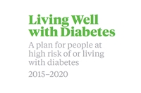 Diabetes Care Improvement Package (DCIP) Narrative Report